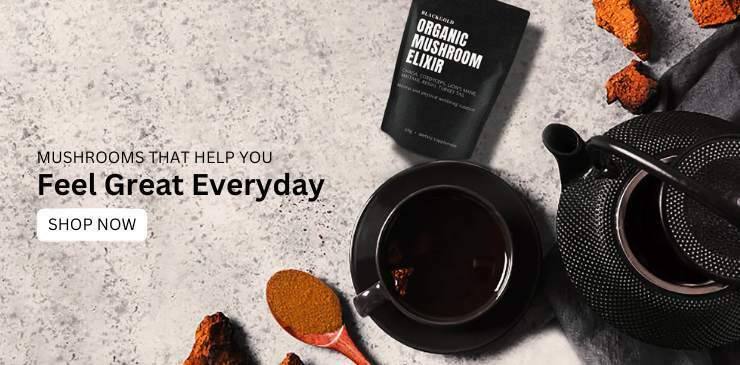 BlackGold Mushroom Elixir mushroom banner